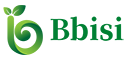 bbisi.com